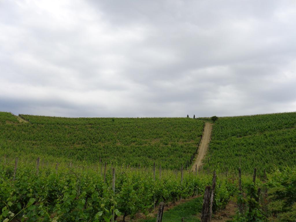 Willa Gran Collina San Damiano dʼAsti Zewnętrze zdjęcie