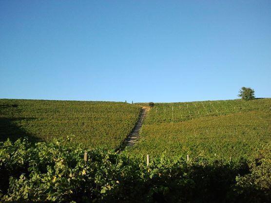Willa Gran Collina San Damiano dʼAsti Zewnętrze zdjęcie